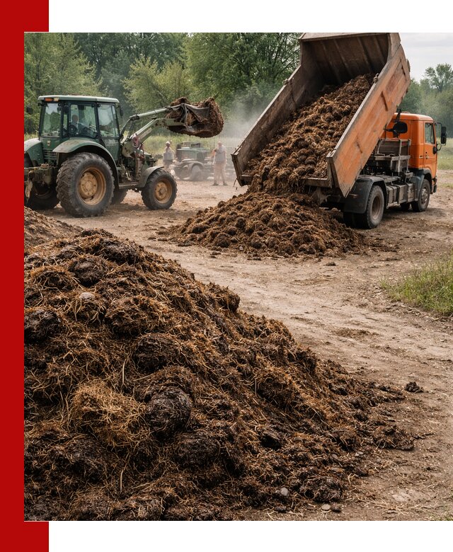 Доставка навоза самосвалами в Воркуте для сельхозпотребностей